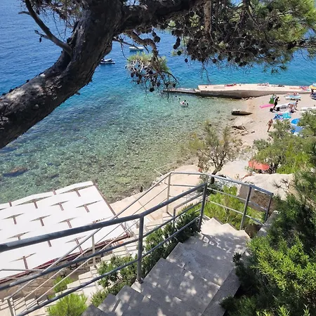 Luxury Ruzmarina With New Heated Infinity Pool And Lounge Area * Marusici (Split-Dalmatia)