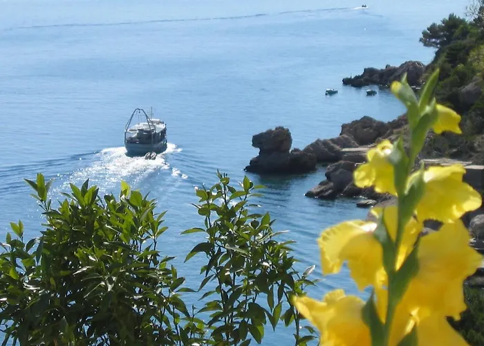 Luxury Ruzmarina With New Heated Infinity Pool And Lounge Area